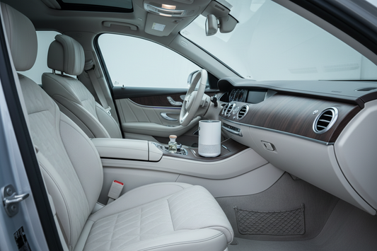 Best Products to Remove Bad Car Odors (That Actually Work)