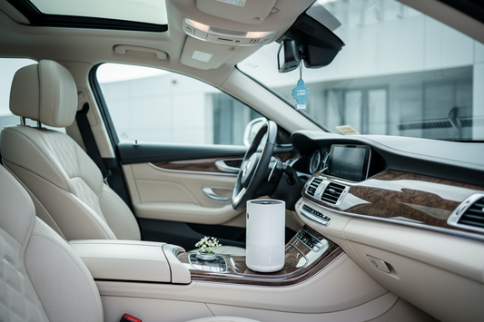 clean car interior before sale