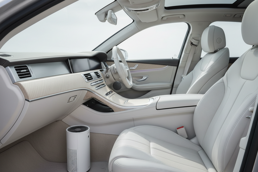 how to remove used car smell